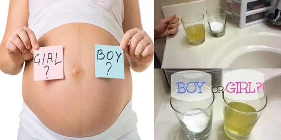 Phương pháp thử nước tiểu với sữa để biết trai hay gái liệu có chính xác?